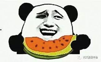 吃瓜群众景先森,揭秘娱乐圈幕后故事