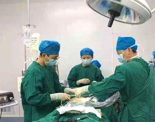 泌尿外科女博士吃瓜群众,揭秘医学界的“吃瓜”风云