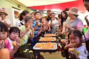 吃瓜群众上餐桌怎么办,应对策略全解析