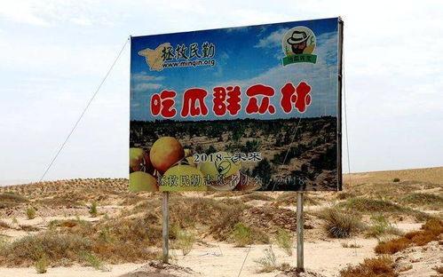 甘肃吃瓜群众文创,趣味盎然的文化创意之旅