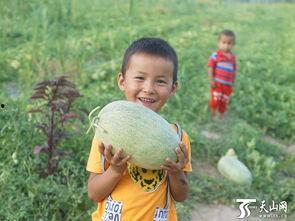 隔壁小孩吃瓜群众,揭秘邻里八卦背后的真相