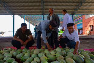 新疆吃瓜的群众叫什么