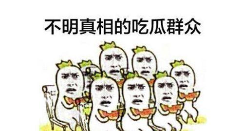 高情商骂吃瓜群众的人