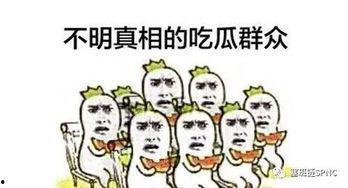 外国人看吃瓜群众,外国视角下的中国“吃瓜群众”现象解析