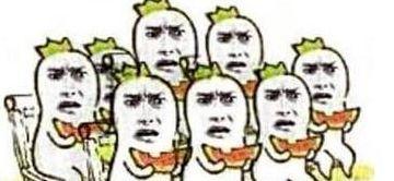 缅北吃瓜群众纸飞机,揭秘缅北生活点滴