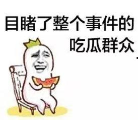 青蛙吃瓜群众,青蛙视角下的瓜群众众生相