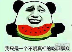 吃瓜群众惊呼什么意思啊