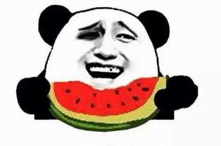 吃瓜群众阿瑞,揭秘吃瓜群众的趣味生活