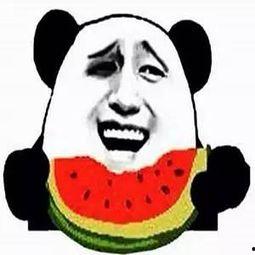 调皮呲牙吃瓜群众笑哭,笑哭全场！