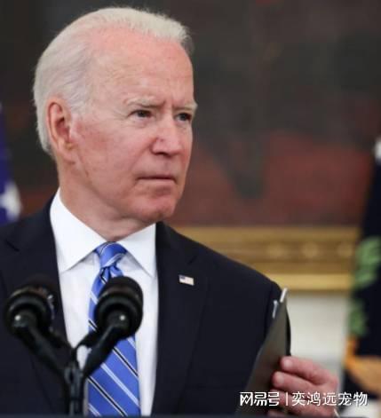 特朗普拜登吃瓜群众,谁才是美国下一任总统？”