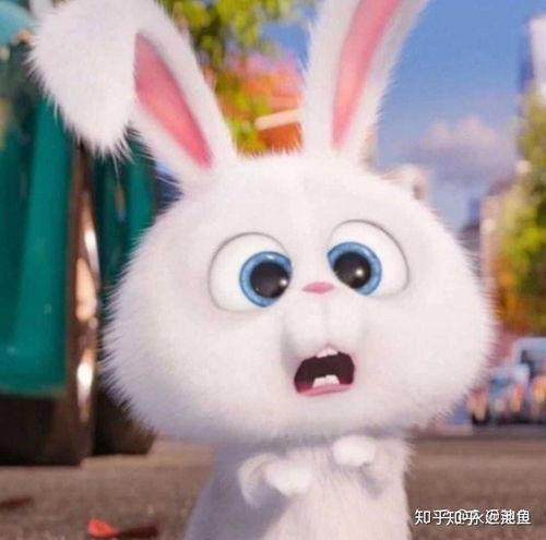 吃瓜群众头像女小兔子,揭秘网络红人小兔子的吃瓜日常