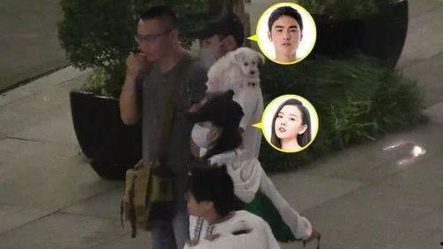 吃瓜群众偶遇爱情视频播放