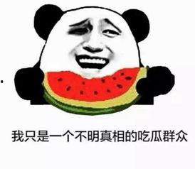 台湾说吃瓜群众吗是真的吗,台湾“吃瓜群众”现象真相揭秘