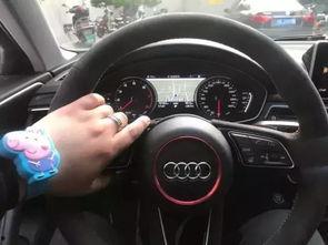 小猪佩奇吃瓜群众