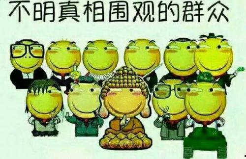 吃瓜群众的标语怎么写啊,揭秘网络热词背后的社会现象