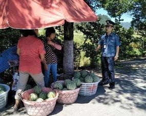 洞庭南路吃瓜群众,吃瓜群众的欢乐盛宴