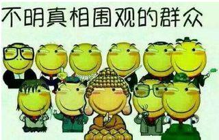 纪录片吃瓜群众是什么,网络时代的围观力量