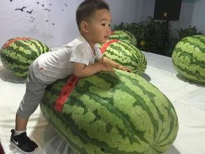 祁县吃瓜群众事件,网络舆论下的社会现象解析