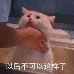 朝阳群众人人吃瓜,人人吃瓜，共赏繁华