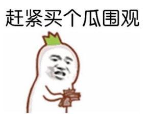 吃瓜群众可以拍大片吗,揭秘手机摄影技巧