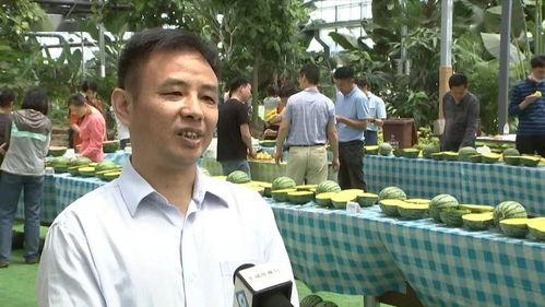 雒县吃瓜群众事件真相揭秘,揭秘背后真相与争议