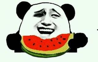 建筑工地吃瓜群众,吃瓜群众的视角揭秘