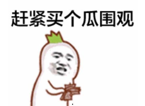 辽c资深吃瓜群众,揭秘娱乐圈背后的那些事儿