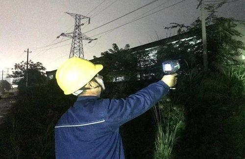 电力小哥秒变吃瓜群众,揭秘电力行业幕后趣闻