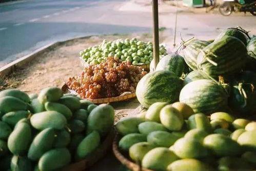 广西吃瓜群众名称大全集,揭秘“吃瓜群众”名称大全集背后的趣味与风情