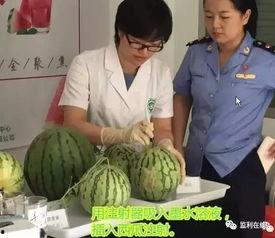 顾冉吃瓜群众,吃瓜群众的视角，揭秘娱乐圈风云