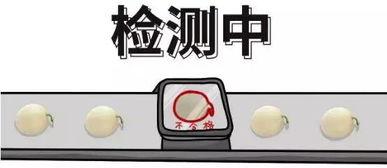 吃瓜群众处理案例,案例处理背后的法律与道德思考