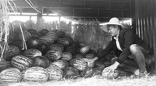 任丘石门最新吃瓜群众,吃瓜群众热议，揭秘最新热点事件