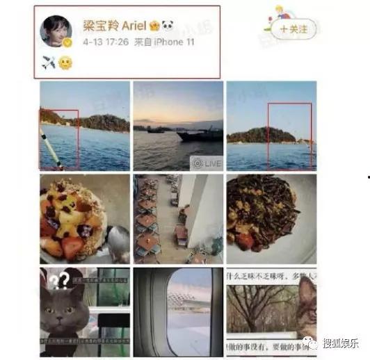 陈哲远吃瓜群众,揭秘娱乐圈幕后故事