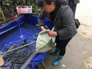 吃瓜群众的女方家,揭秘豪门背后的故事