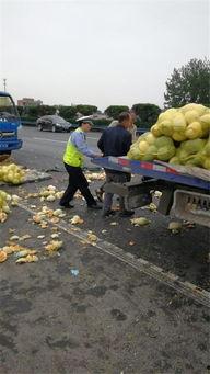 吃瓜群众交警,交警视角下的吃瓜群众众生相