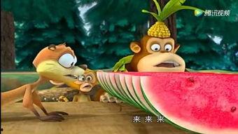 吃瓜群众搞笑动物视频大全