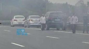 吃瓜群众的危害300子,社会现象背后的深思