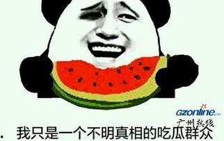 吃瓜群众有哪些网红,盘点当下热门网红风云录