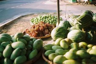 吃瓜群众吃豆视频大全,吃瓜群众必看！豆视频大全趣味盘点