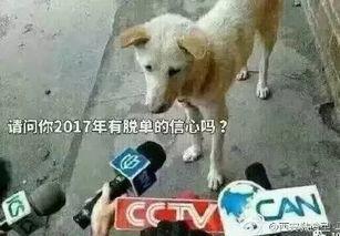 吃瓜群众卧槽图片搞笑,卧槽！吃瓜群众笑翻天的搞笑瞬间