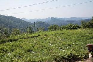 南乐乡村吃瓜群众是谁,揭秘南乐乡村“吃瓜群众”背后的故事