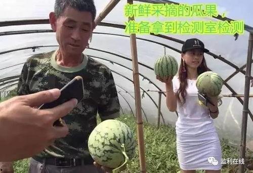 吃瓜群众直播圈,吃瓜群众揭秘网红幕后生活